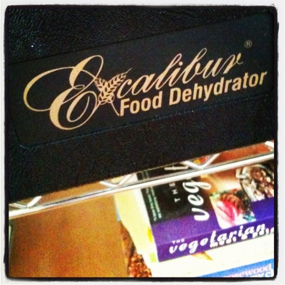 Excalibur Food Dehydrator