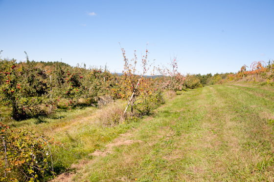 Autumn Hills Orchard