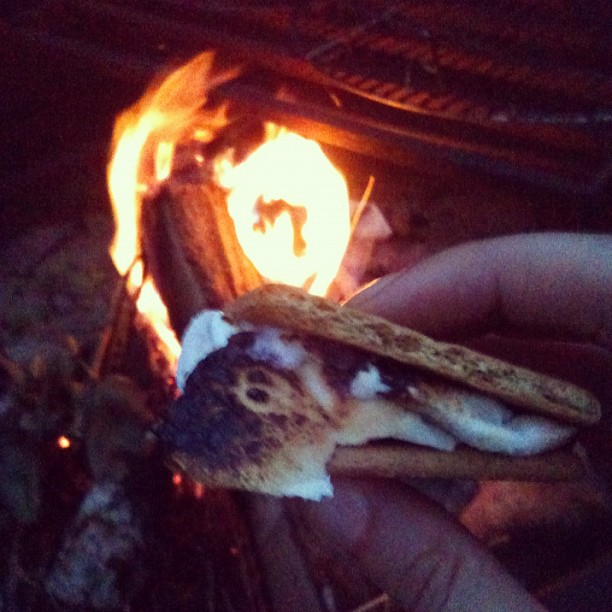 Extra Burnt S'mores