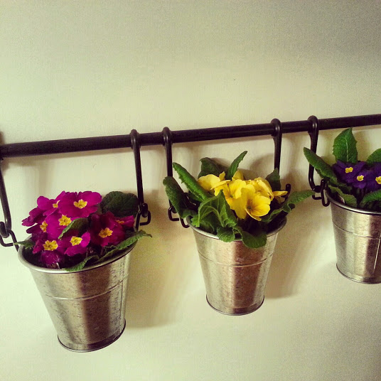 Potted Flowers