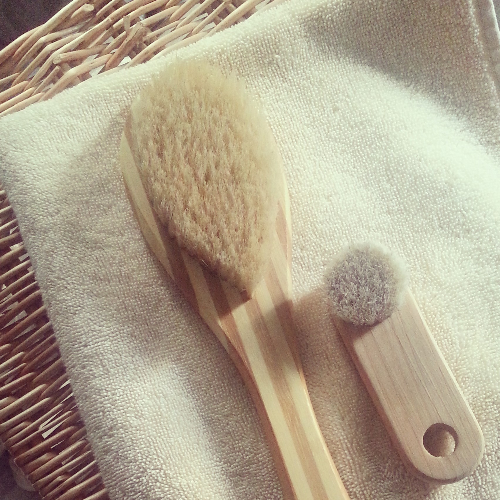 Dry Brushing