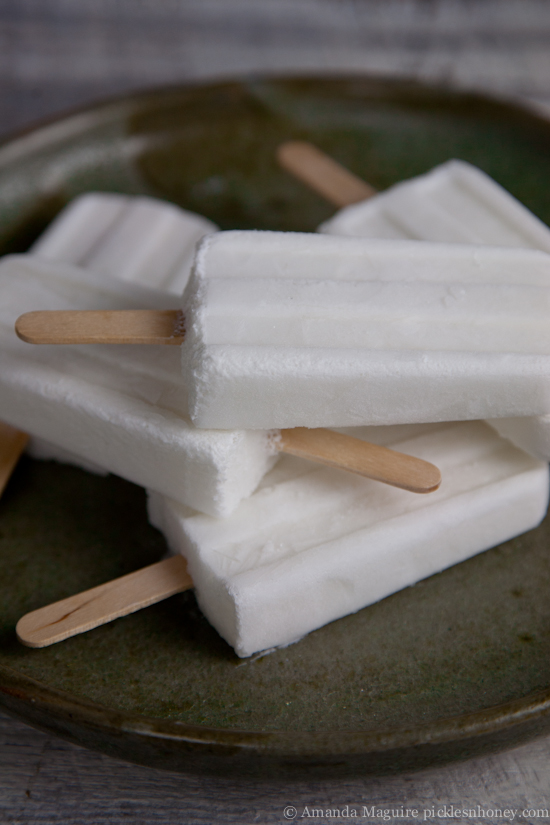 3-Ingredient Coconut Water Popsicles! Vegan, No Added Sugar & Gluten-Free | picklesnhoney.com #coconut #coconutwater #popsicles #dessert #snack #vegan #sugarfree #glutenfree #recipe