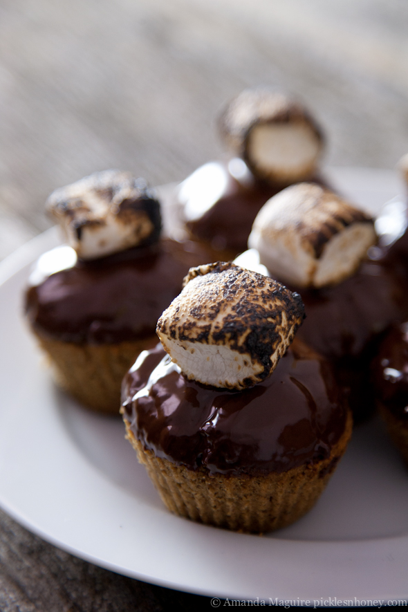 Vegan Gluten-Free S'mores Cupcakes