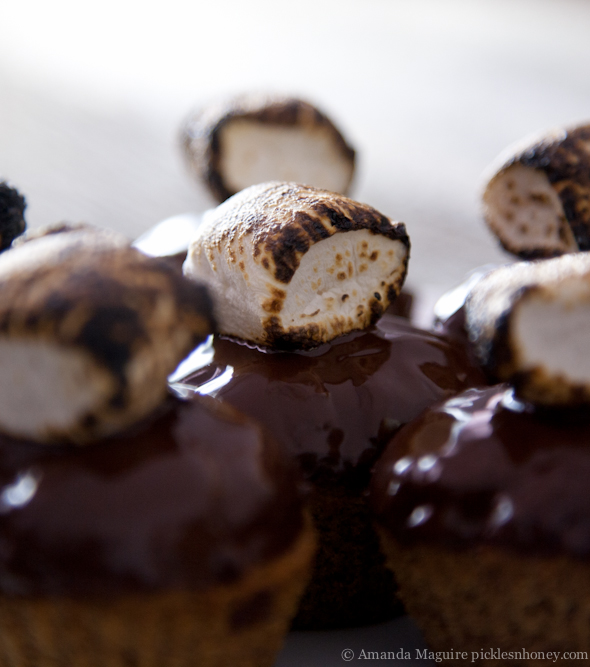 Vegan & GF S'mores Cupcakes