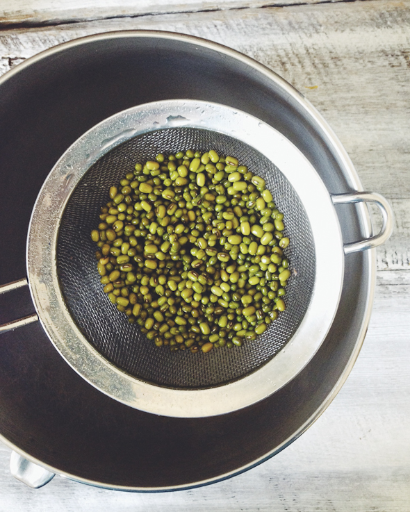 How to Sprout at Home: Mung Bean Sprouts | picklesnhoney.com