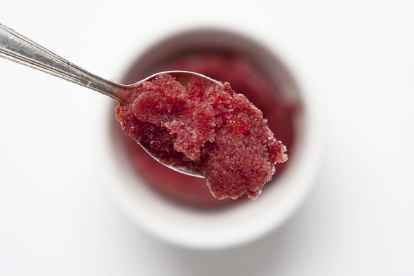 cinnamon plum merlot sorbet (vegan) | picklesnhoney.com