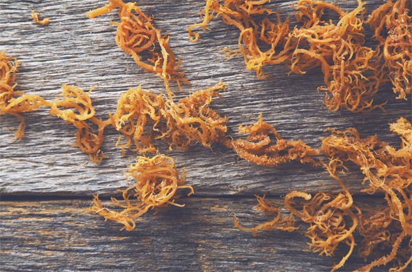 How to Prepare Irish Moss How to Use Irish Moss | picklesnhoney.com #irishmoss #recipe