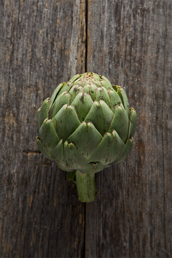 Vegan Alfredo with Artichoke | picklesnhoney.com #vegan #alfredo #recipe #artichoke