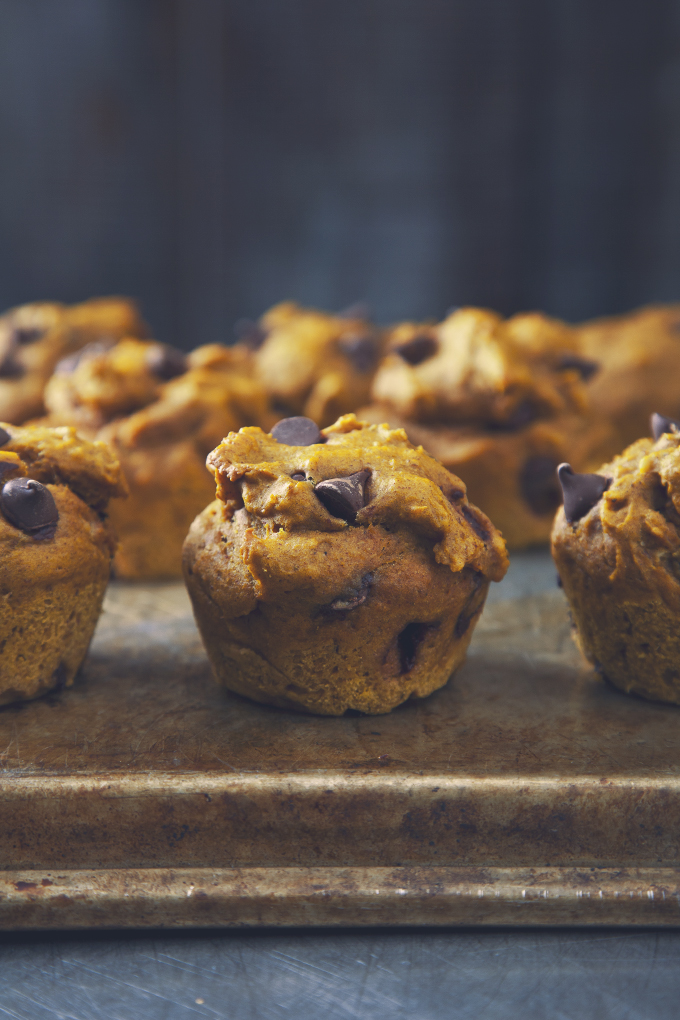 Peanut Butter Chocolate Chip Pumpkin Muffins (Vegan) | picklesnhoney.com