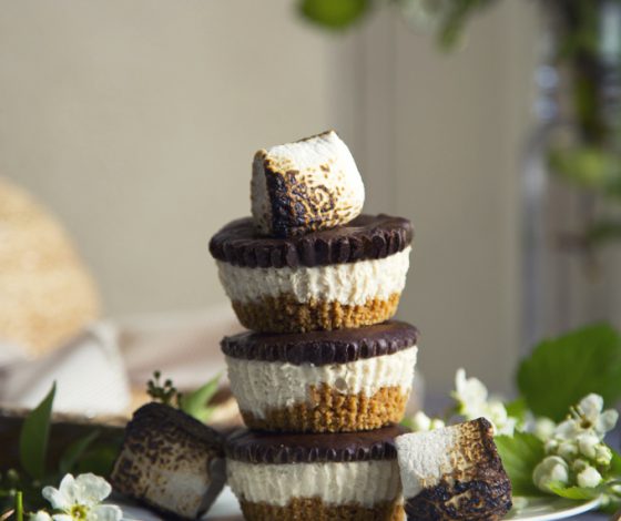 No-Bake Mini S'mores Cheesecakes (Vegan) | picklesnhoney.com