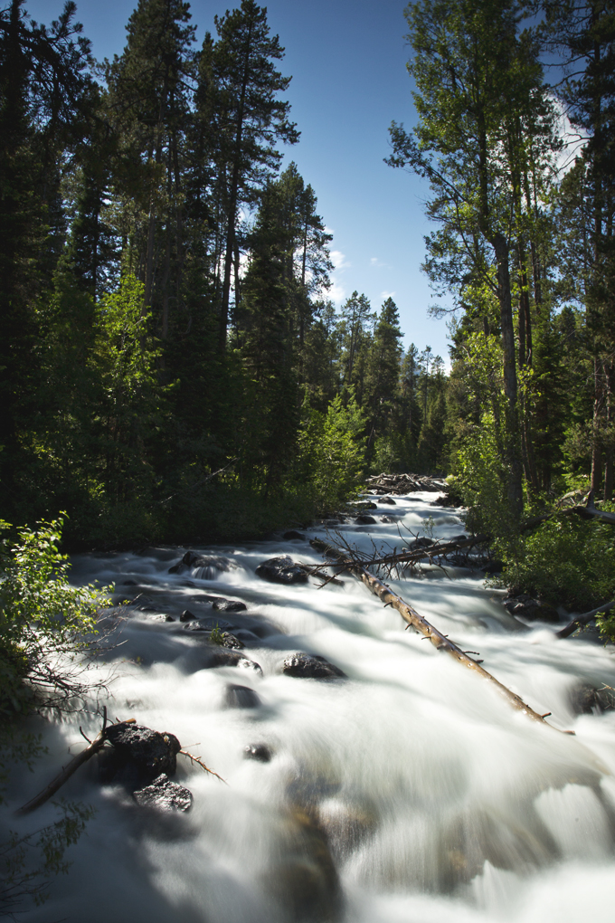 Week 6: Grand Teton National Park | picklesnhoney.com #PHroadtrip