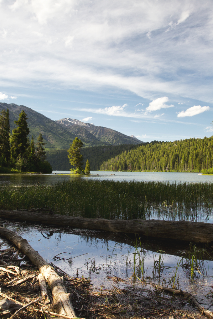 Week 6: Grand Teton National Park | picklesnhoney.com #PHroadtrip