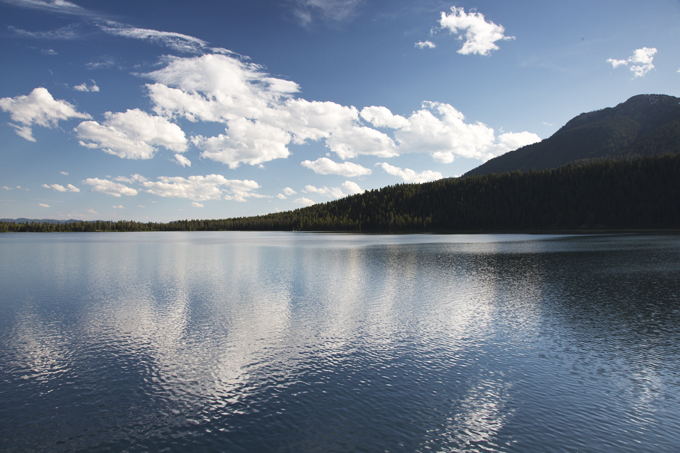 Week 6: Grand Teton National Park | picklesnhoney.com #PHroadtrip