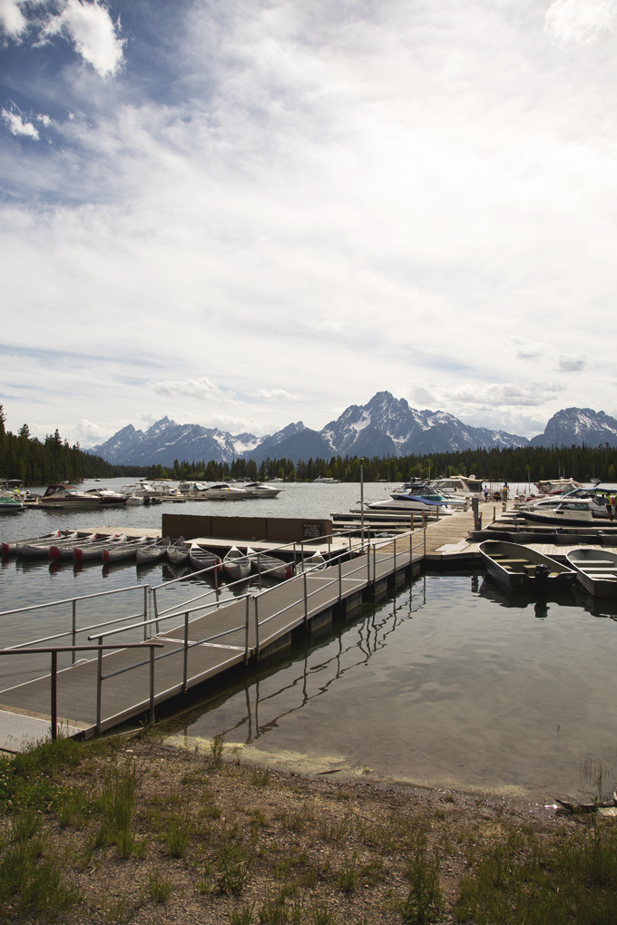 Week 6: Grand Teton National Park | picklesnhoney.com #PHroadtrip