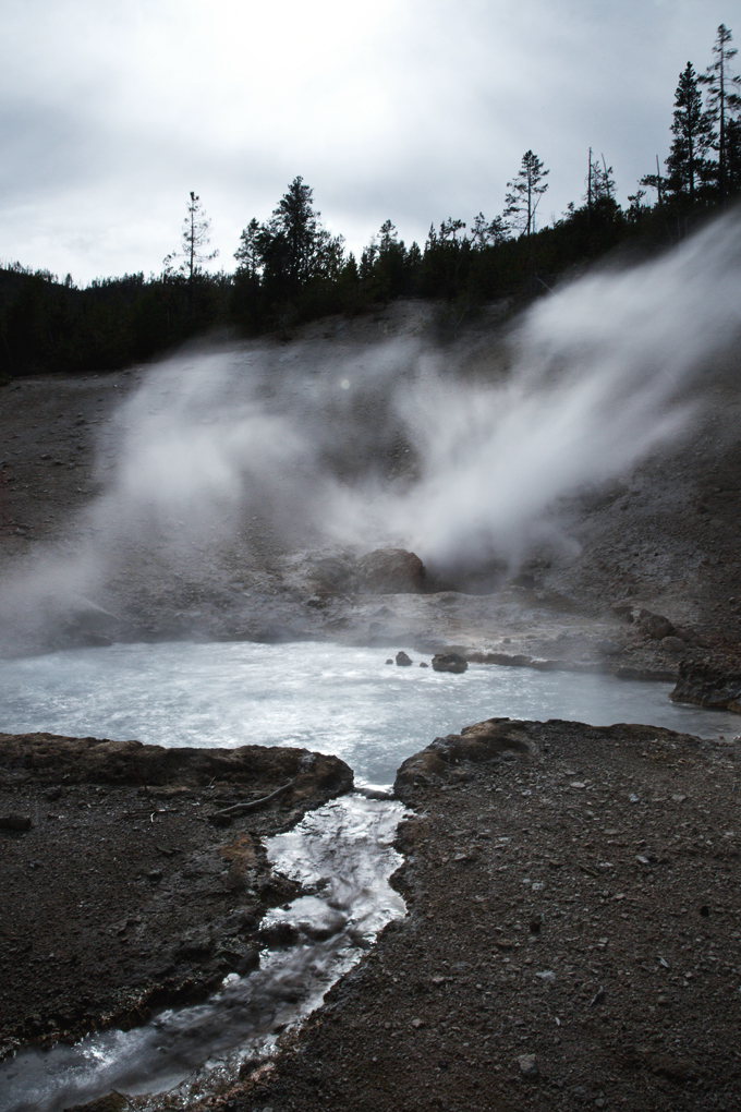 Week 6: Yellowstone National Park | picklesnhoney.com #PHroadtrip