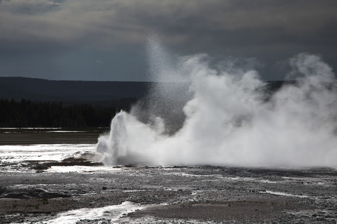 Week 6: Yellowstone National Park | picklesnhoney.com #PHroadtrip