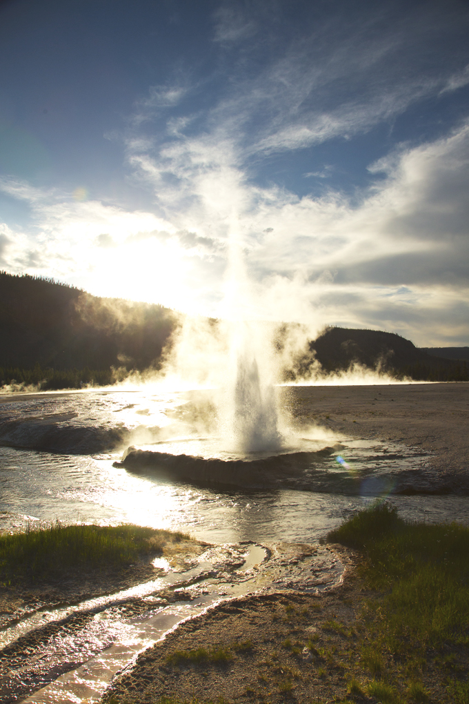 Week 6: Yellowstone National Park | picklesnhoney.com #PHroadtrip