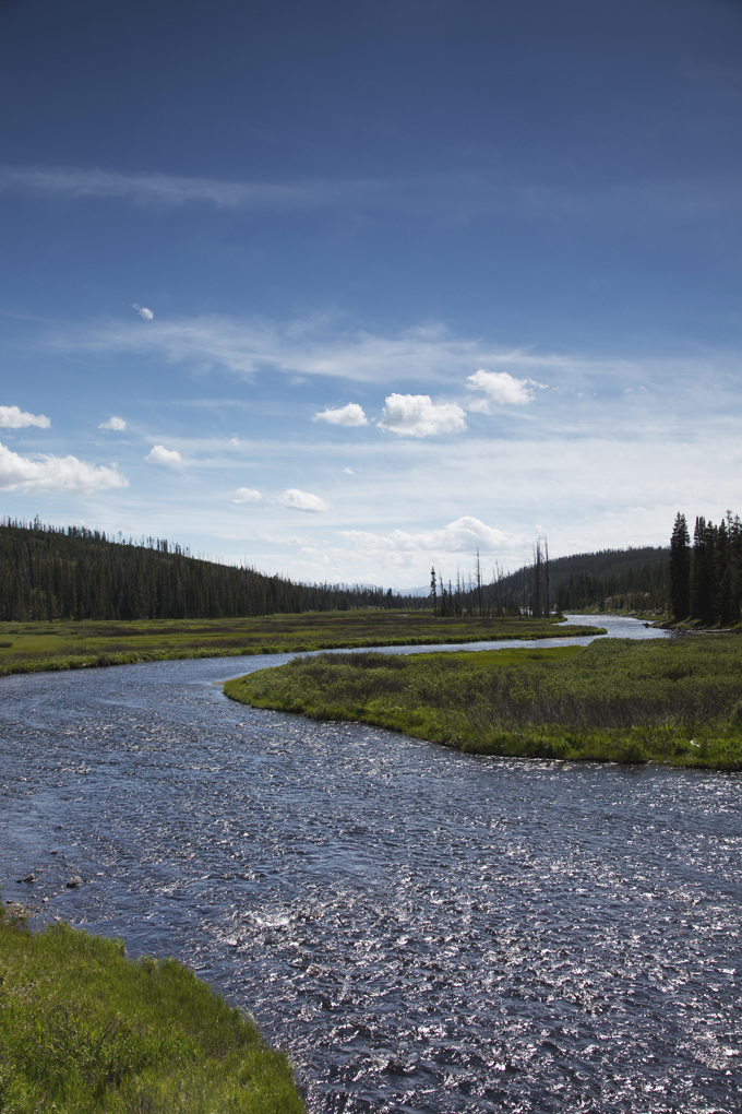 Week 6: Yellowstone National Park | picklesnhoney.com #PHroadtrip