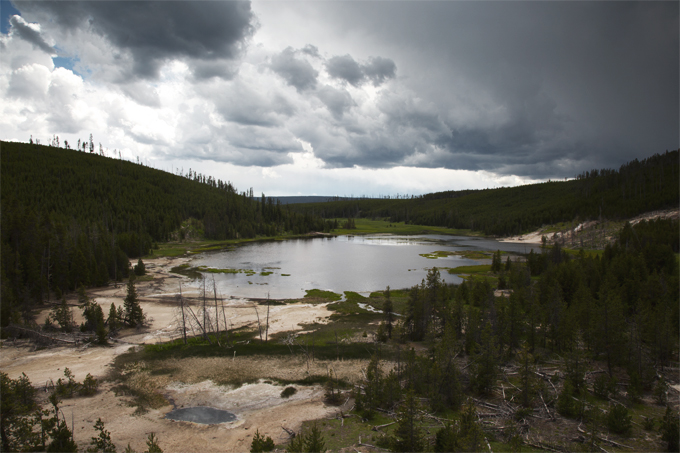 Week 6: Yellowstone National Park | picklesnhoney.com #PHroadtrip