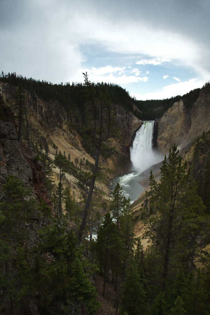 Week 6: Yellowstone National Park | picklesnhoney.com #PHroadtrip