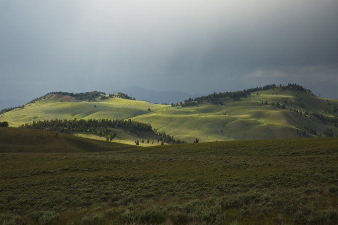 Week 6: Yellowstone National Park | picklesnhoney.com #PHroadtrip