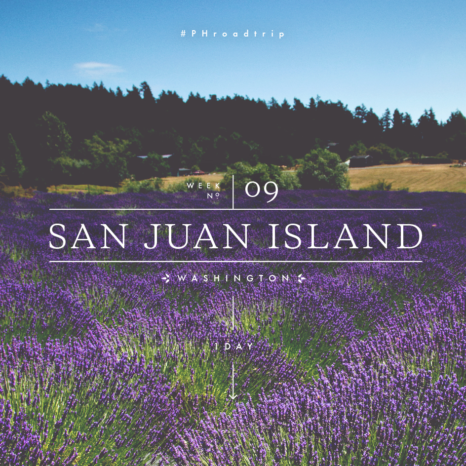 #PHroadtrip Week 9: San Juan Island, WA | picklesnhoney.com