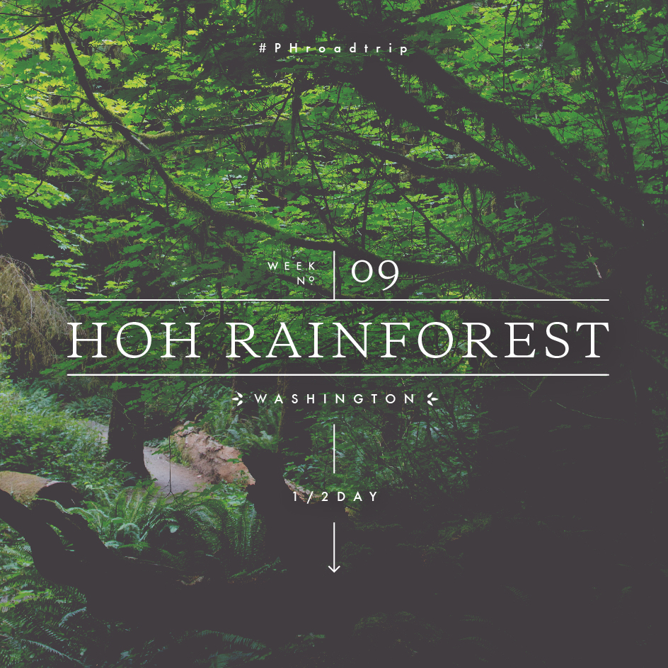 #PHroadtrip Week 9: Hoh Rainforest, WA | picklesnhoney.com