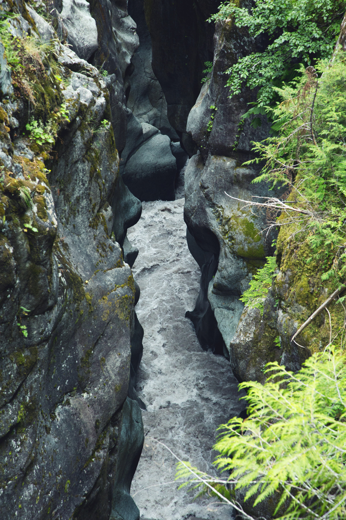 Mount Rainier National Park, WA | picklesnhoney.com #PHroadtrip