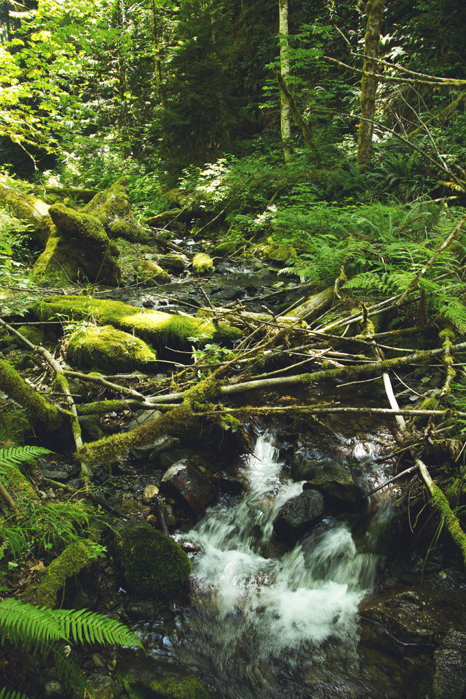 Mount Rainier National Park, WA | picklesnhoney.com #PHroadtrip