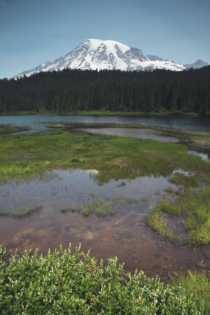 Mount Rainier National Park, WA | picklesnhoney.com #PHroadtrip