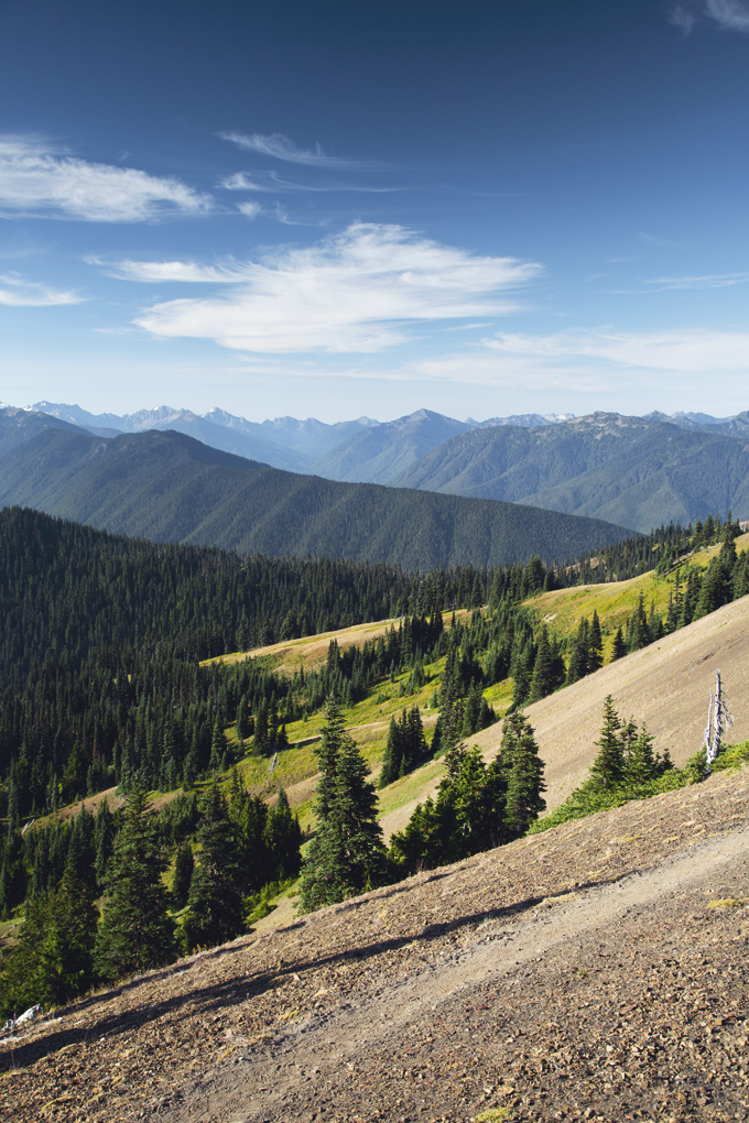 #PHroadtrip Week 9: Olympic National Park, WA | picklesnhoney.com