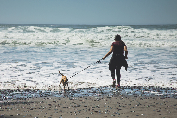 #PHroadtrip Week 9: Rialto Beach Olympic National Park, WA | picklesnhoney.com