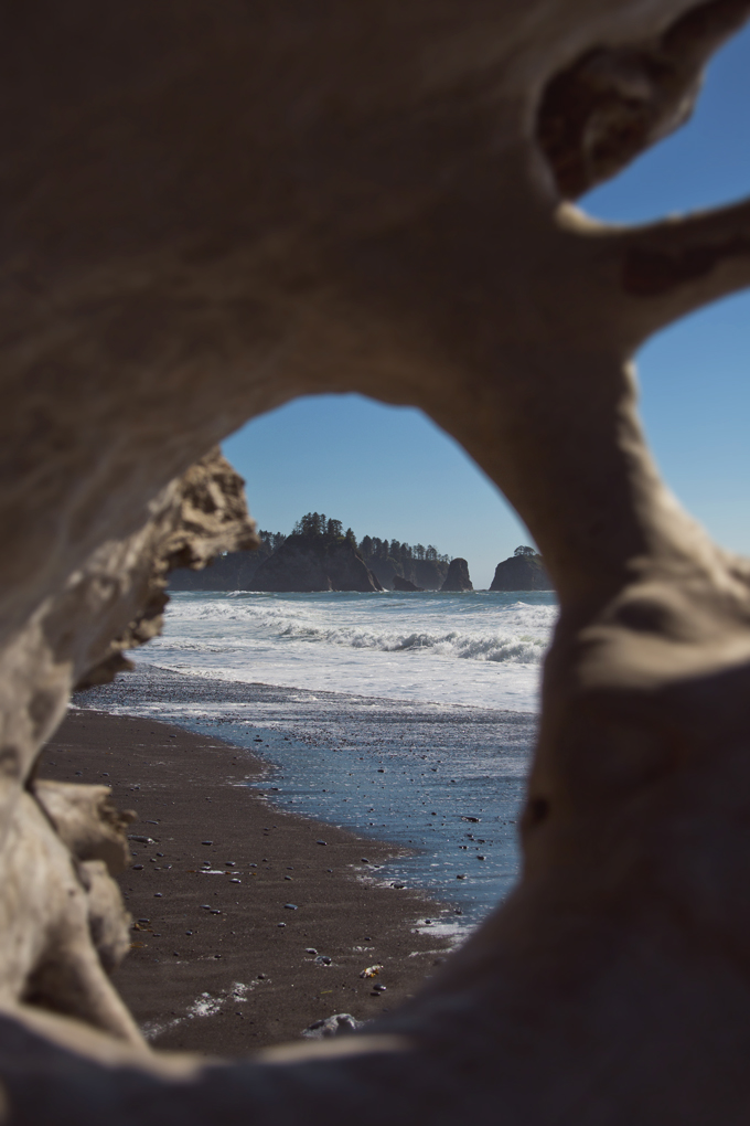 #PHroadtrip Week 9: Rialto Beach Olympic National Park, WA | picklesnhoney.com