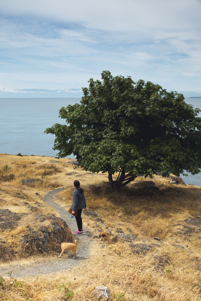 #PHroadtrip Week 9: San Juan Island, WA | picklesnhoney.com