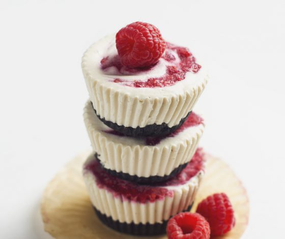 No-Bake Mini White Chocolate Raspberry Cheesecakes with Oreo Crust | picklesnhoney.com #vegan