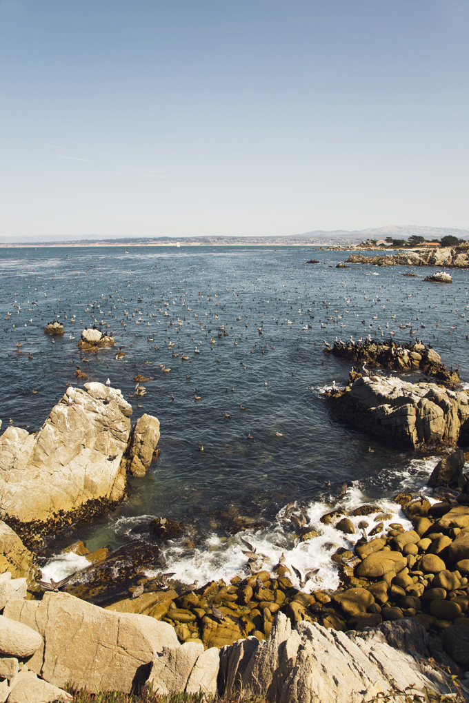 Pacific Grove, CA | picklesnhoney.com #PHroadtrip #roadtrip #travel