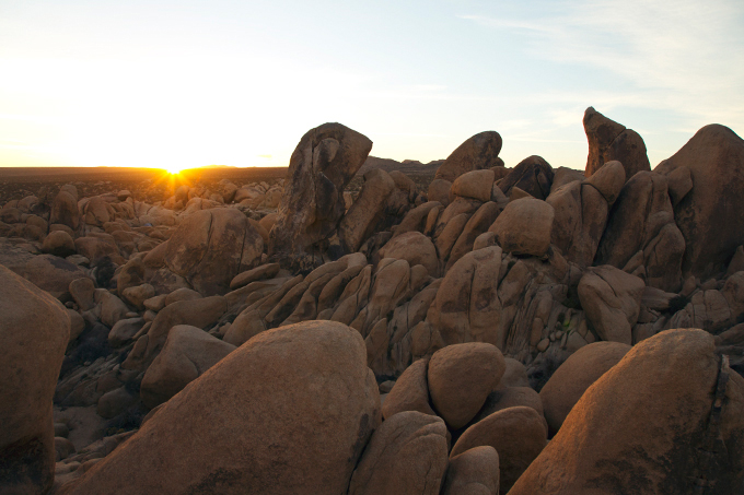 Joshua Tree National Park, CA | picklesnhoney.com #PHroadtrip #roadtrip #travel