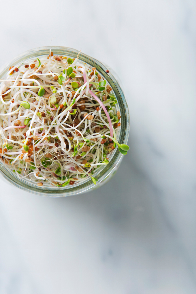 How to Grow Sprouts in a Jar | picklesnhoney.com #sprouts #jar #diy #recipe