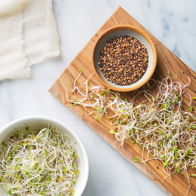 How to Grow Sprouts in a Jar | picklesnhoney.com #sprouts #jar #diy #recipe