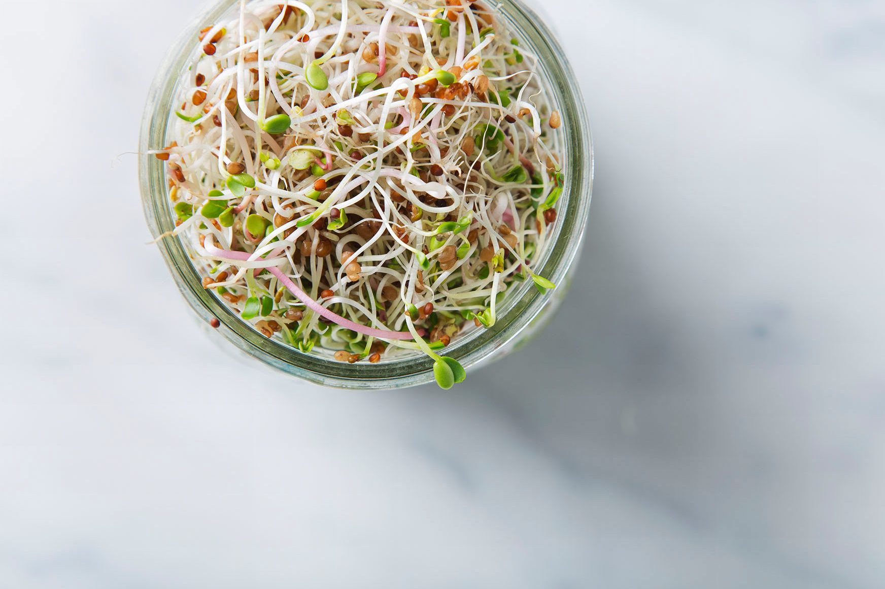 How to Grow Sprouts in a Jar | picklesnhoney.com #sprouts #jar #diy #recipe